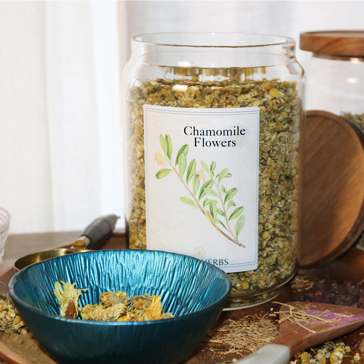 Chamomile - Image 3