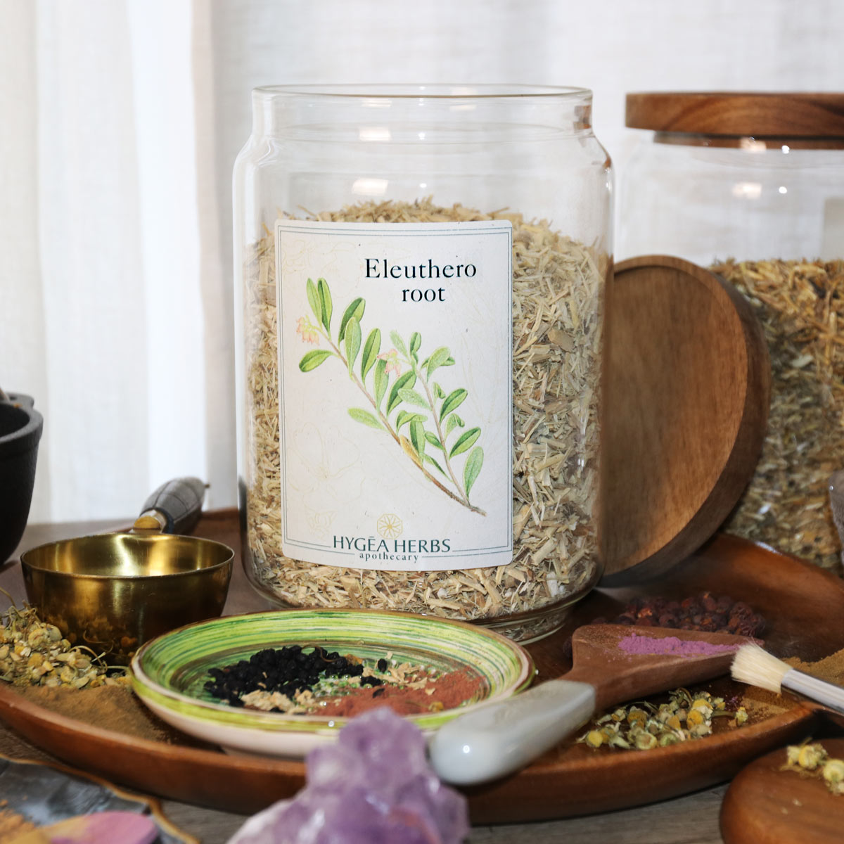 Siberian Ginseng - Image 3