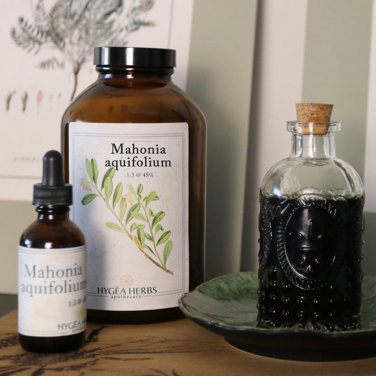 Oregon Grape - Image 2