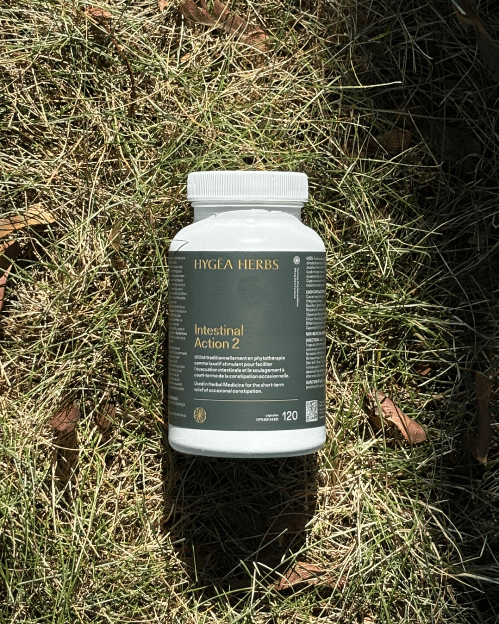 Intestinal Action 2