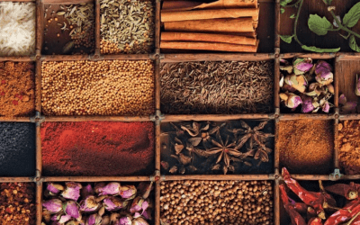 Best Fall Foods to Boost Your Immune System