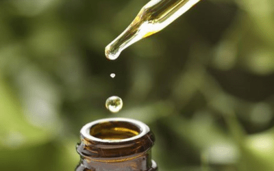 Oregano Oil: Nature’s Potent Remedy for Health and Wellness