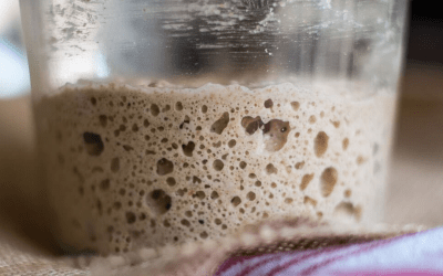 How to Make a Anna’s Sourdough Starter: A Step-by-Step Guide