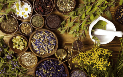 5 Herbs That Can Help Lift Your Mood This Season