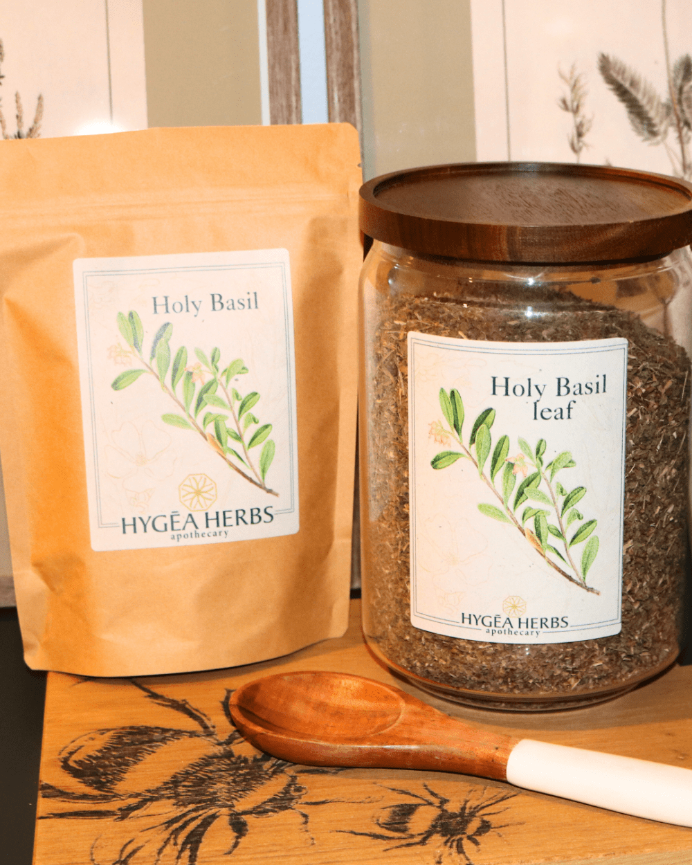 Holy Basil (Ocimum sanctum)