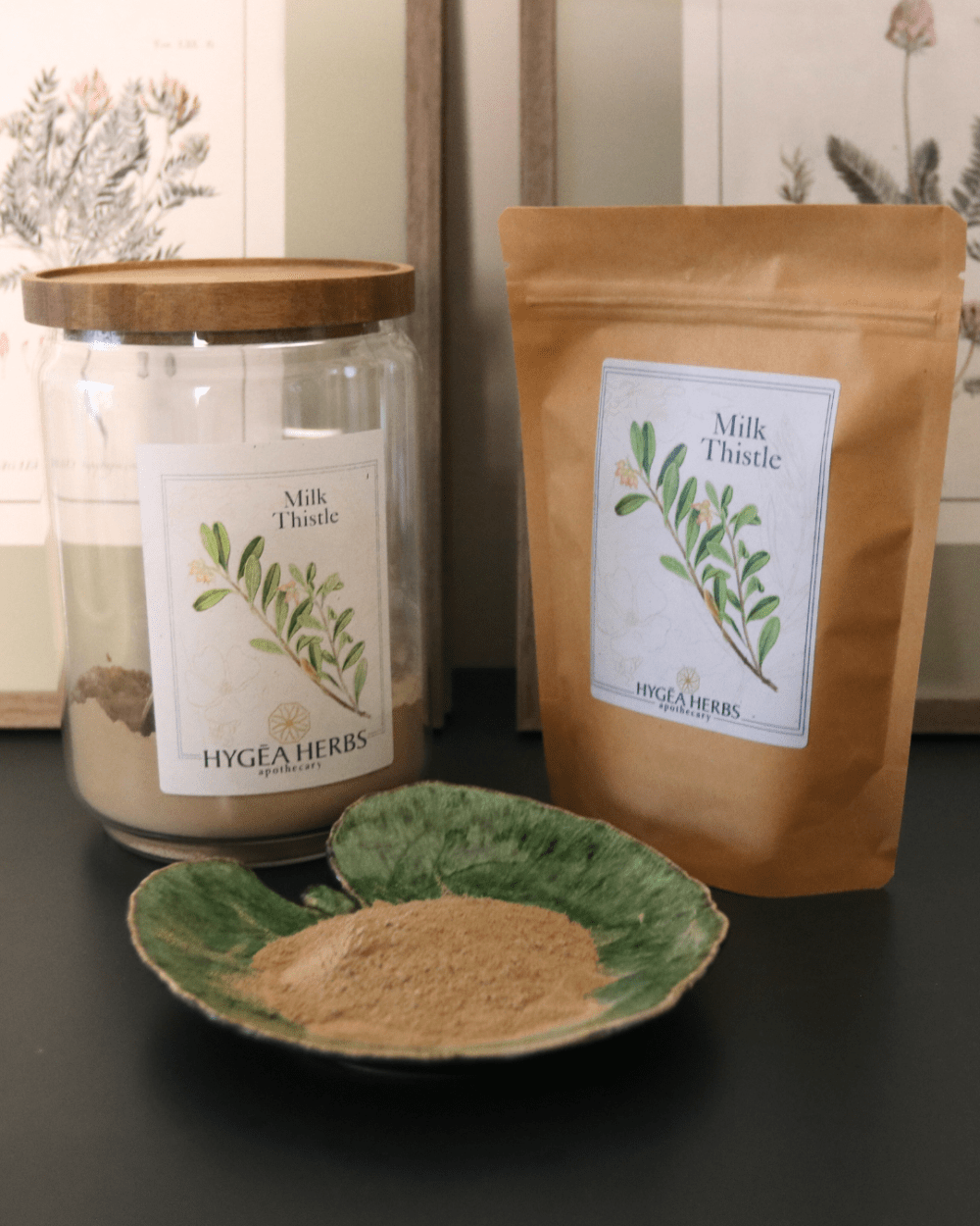 Milk Thistle (Silybum marianum)