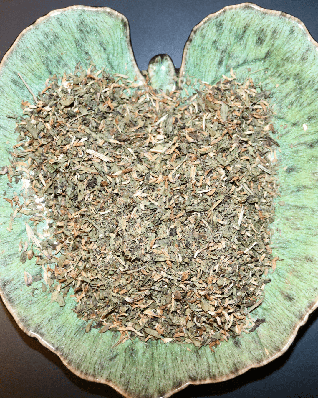 Red Clover (Trifolium pratense) - Image 2