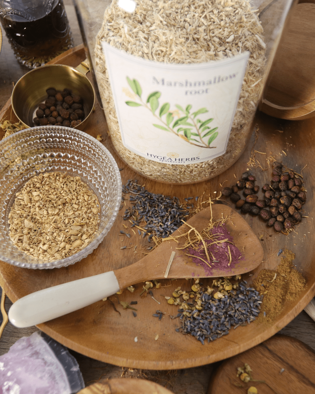 Marshmallow (Althaea officinalis) - Image 3