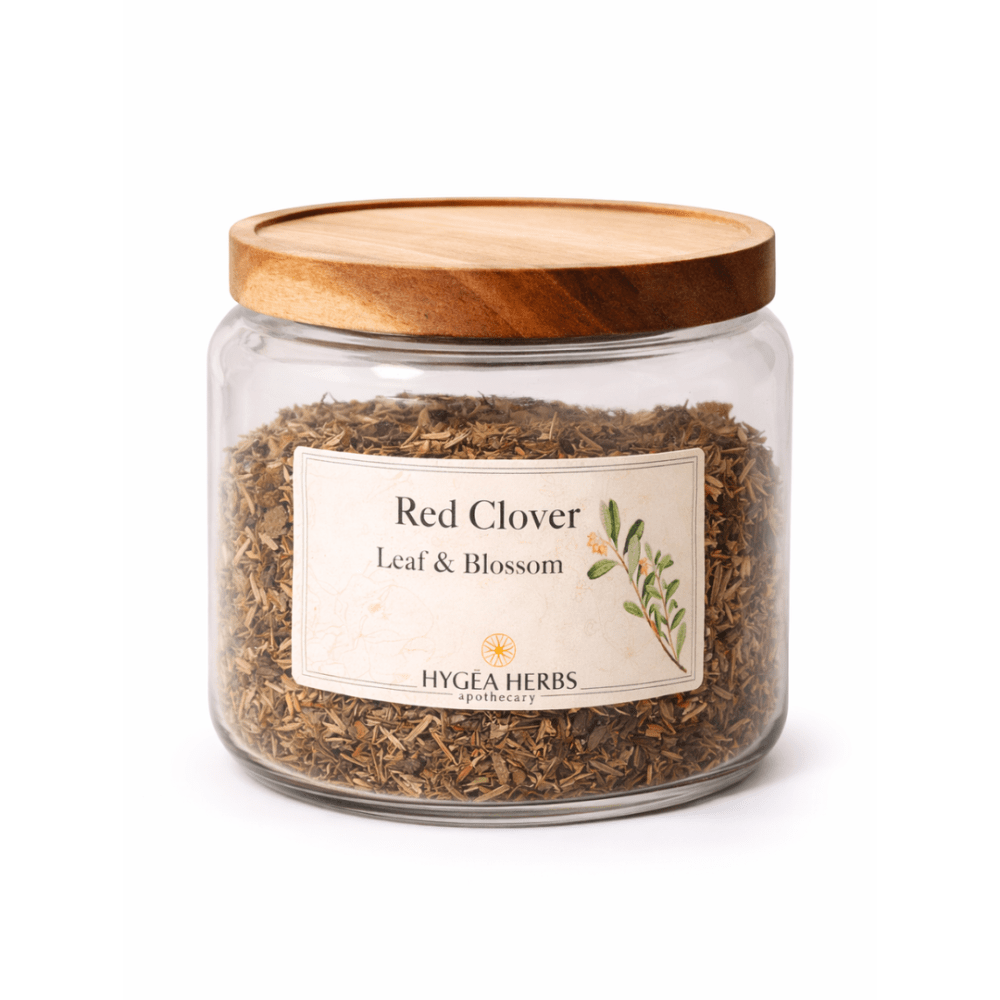 Red Clover (Trifolium pratense)