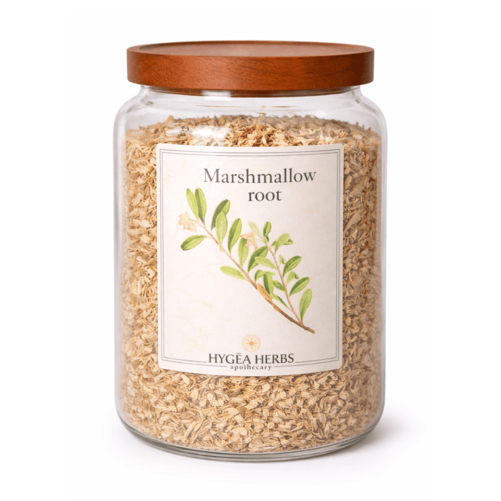 Marshmallow (Althaea officinalis)