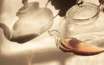 Nervous System Softening During the Holidays