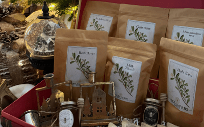 The Herbal Harmony Gift Bundle: A Thoughtful Wellness Set for Inner Calm, Radiance & Seasonal Support