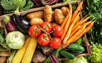 The Top 5 Vegetables to Add After Holiday Indulging