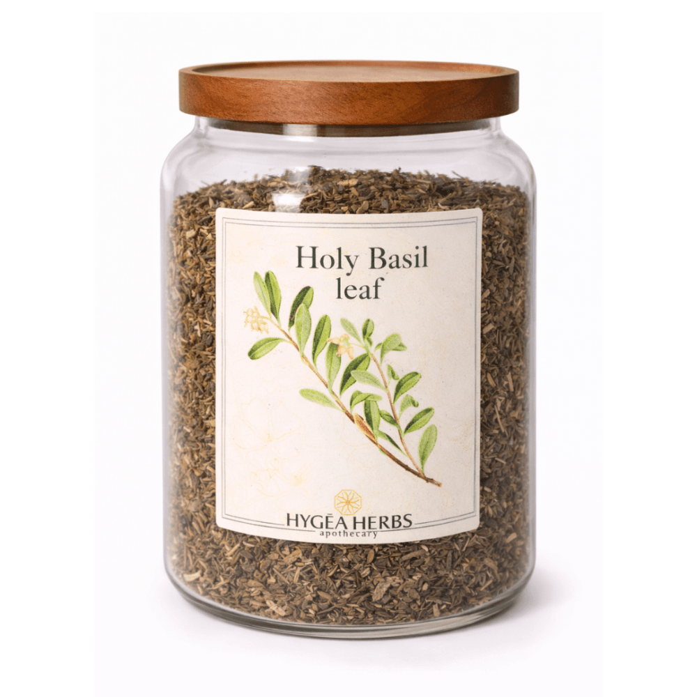 Holy Basil (Ocimum sanctum)