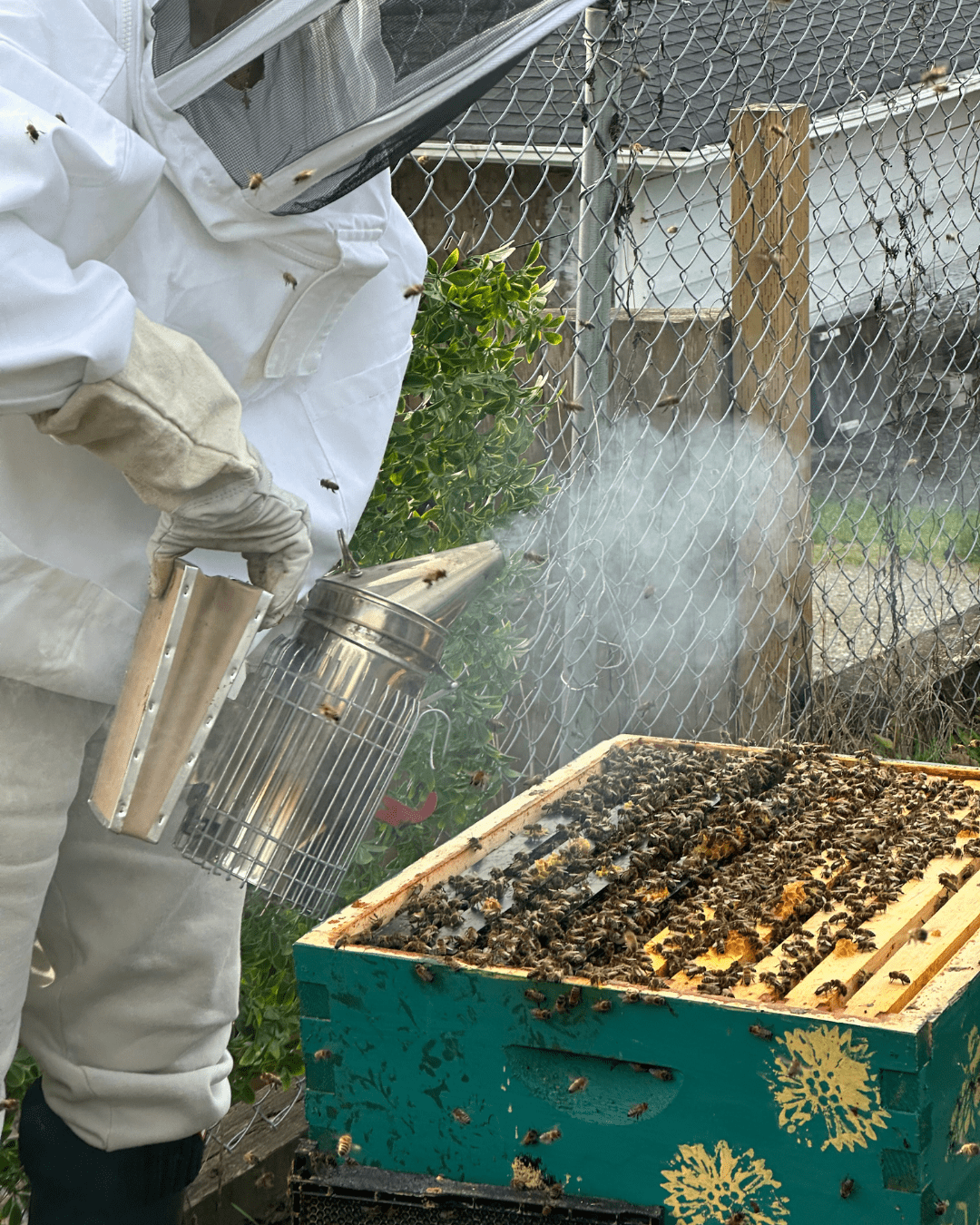 Organic Honey - Image 9