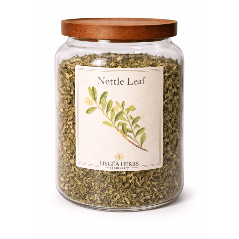 Stinging Nettle (Urtica dioica)