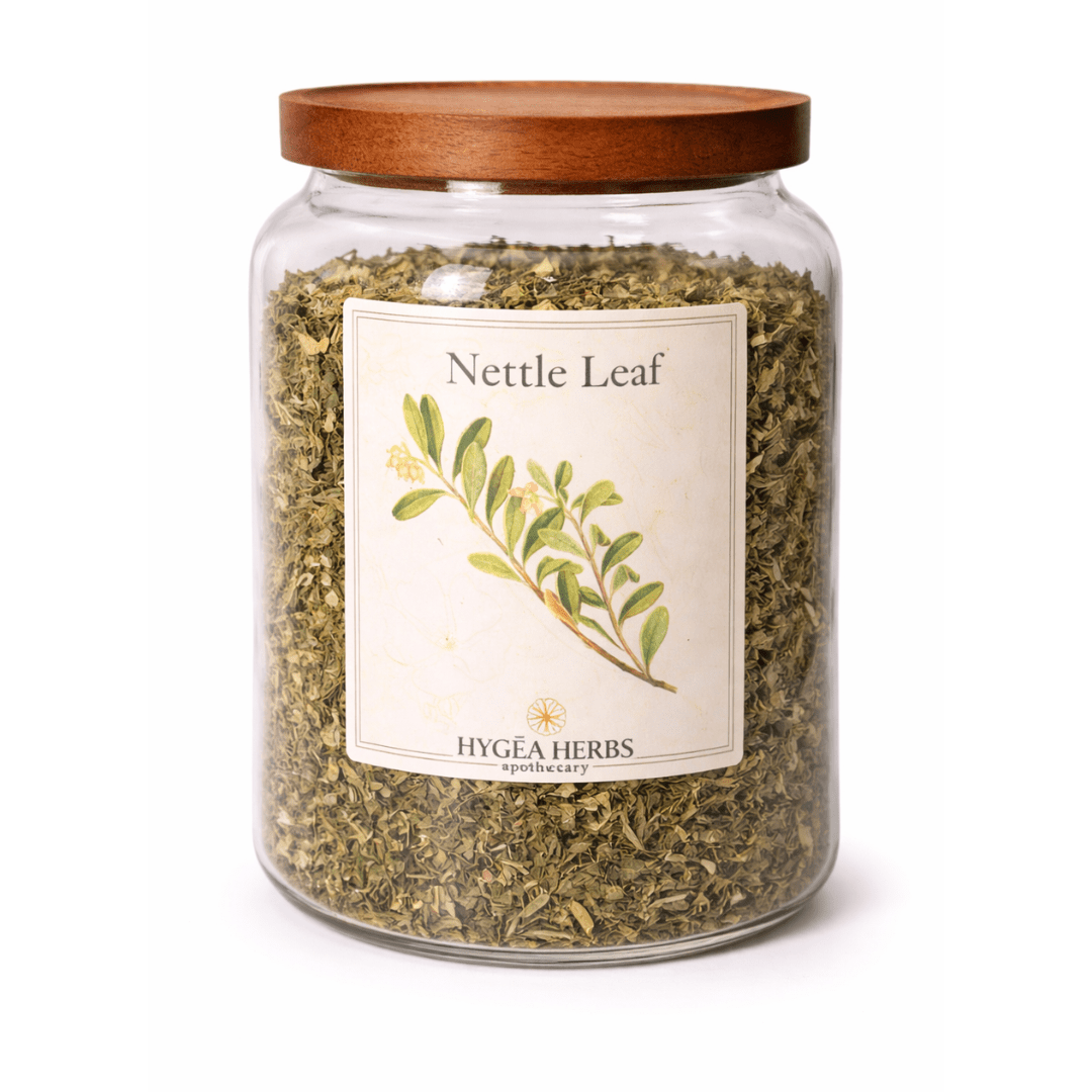 Stinging Nettle (Urtica dioica)