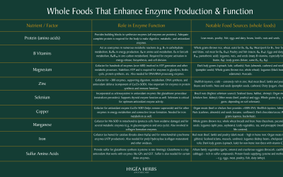 Fueling Your Enzymes: Whole Food Foundations for Optimal Function