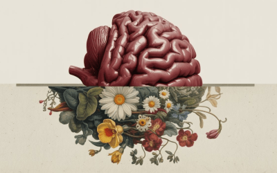 Creatine, Phosphates, and Cellular Energy: How Food Fuels ATP, Performance, and Brain Health