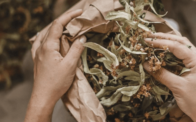 Very High-Potassium Herbal Foods: Nature’s Most Powerful Sources