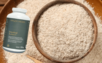 Psyllium Husk Fiber: A Natural Superfood for Your Gut Microbiome