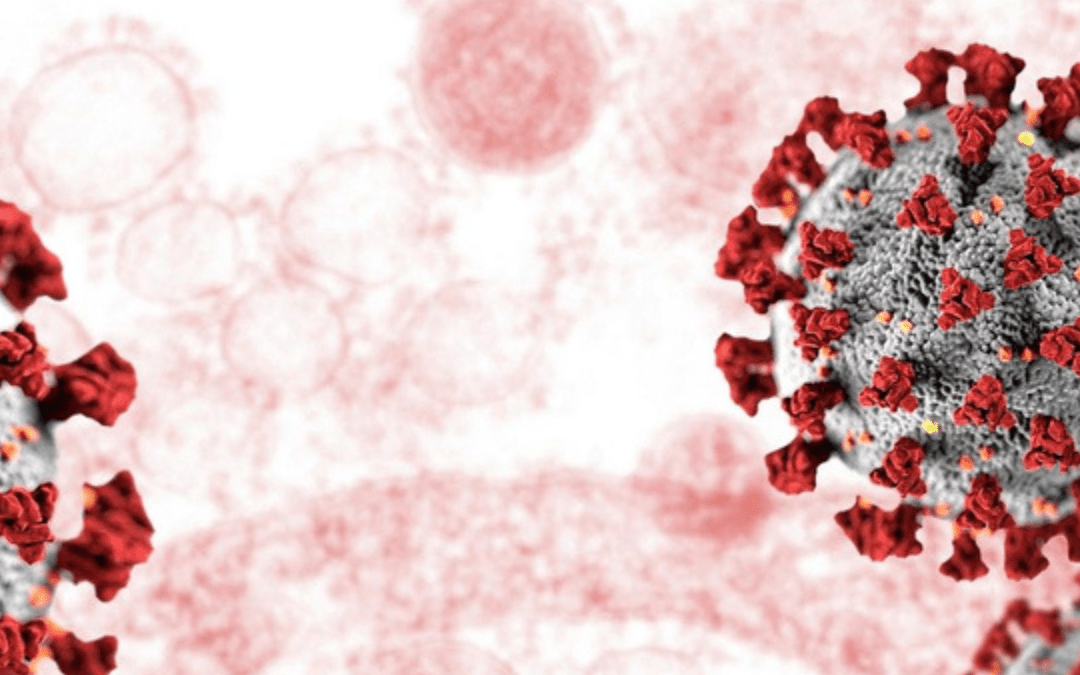 Not All Bacteria Are Bad: Why We Actually Can’t Survive Without Them