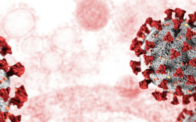 Not All Bacteria Are Bad: Why We Actually Can’t Survive Without Them