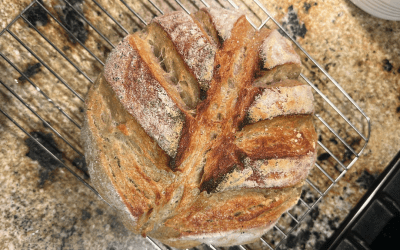 Sourdough Butter Croissant Bread Recipe