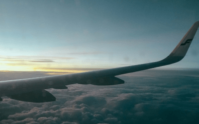 The Traveler’s Gut Survival Guide